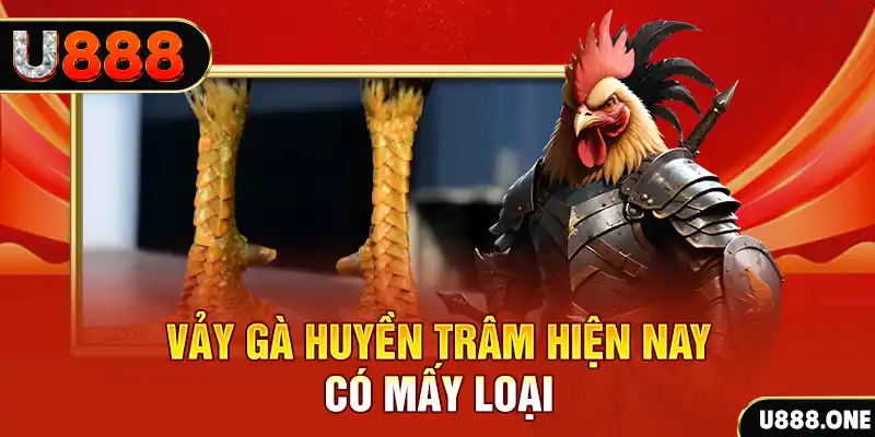 ku 19 casino Đăng ký